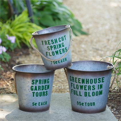 Vintage Style Greenhouse Flowers Pails, Set of 3
