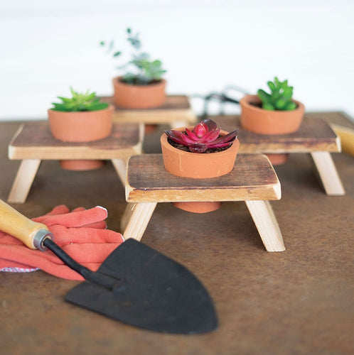 Set of 4 Recycled Wooden Risers with Recessed Terracotta Flower Pots