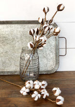 Small Cotton Stems, Set of 6
