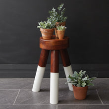 Dip-Dyed Wooden Plant Stand / Stool