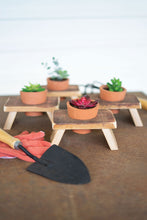 Set of 4 Recycled Wooden Risers with Recessed Terracotta Flower Pots